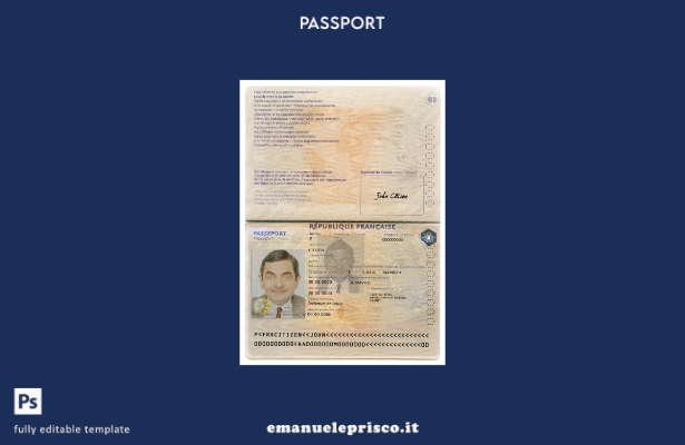modello di versione del passaporto francese in stile verificato